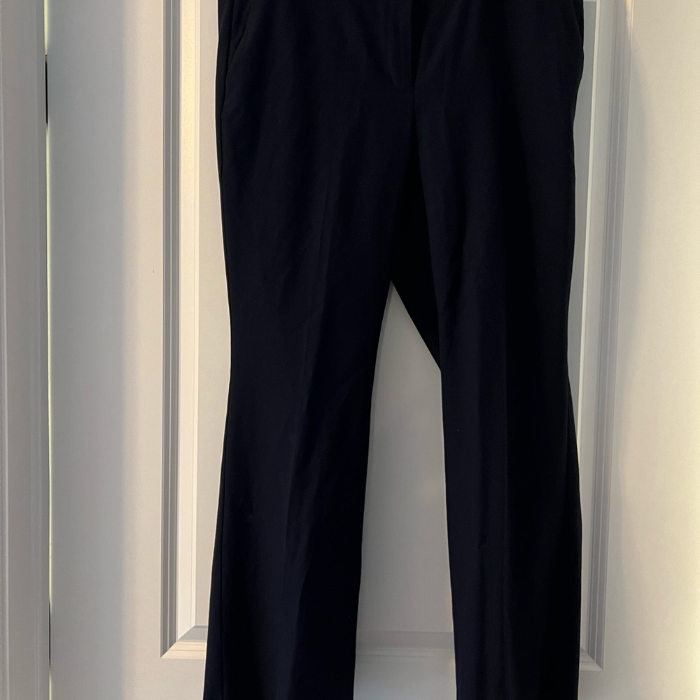 Ann Taylor Petite Dress Pants